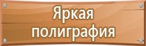 зебра знак дорожного движения